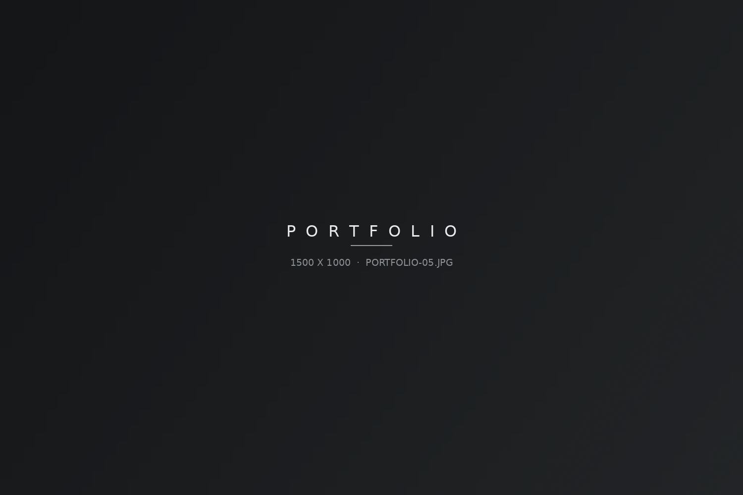 Portfolio-Bild 5