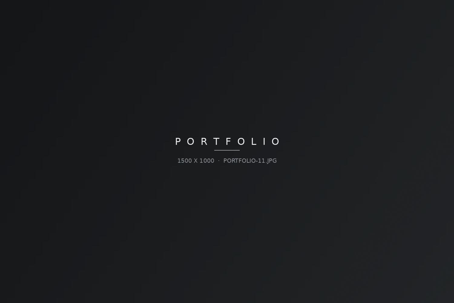 Portfolio-Bild 11