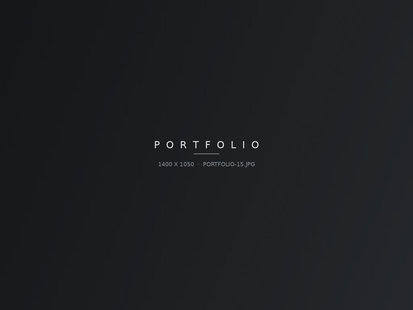 Portfolio-Bild 15