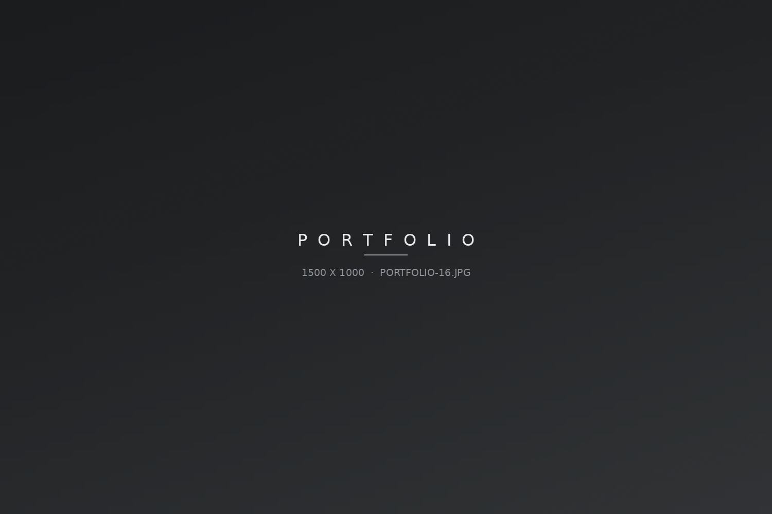 Portfolio-Bild 16