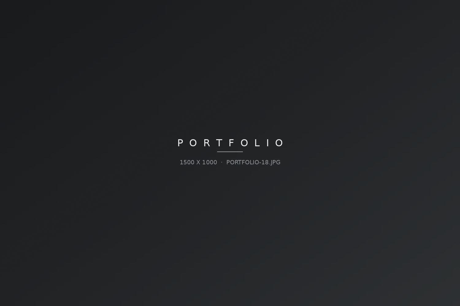 Portfolio-Bild 18
